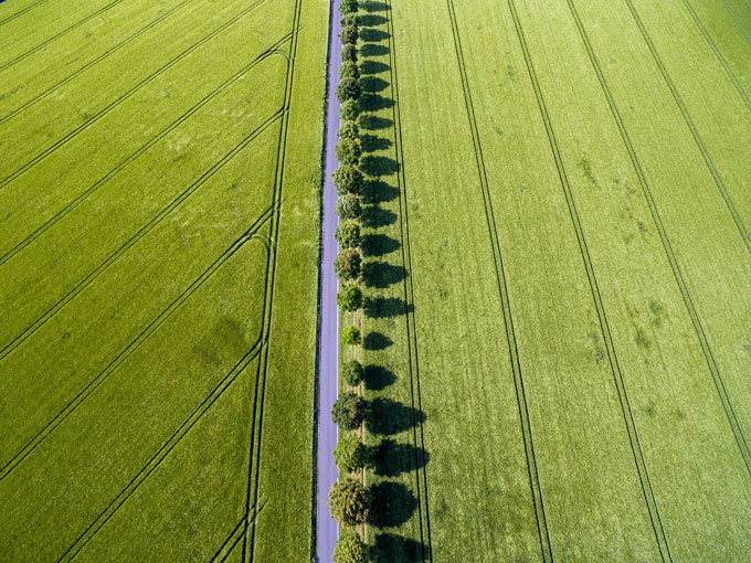 Field Cologne / Photo: dronepicr