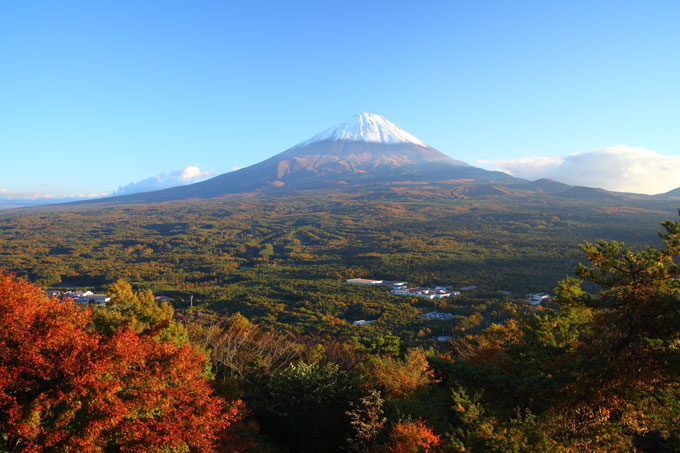 View of Mt. Fuji with Aokigahara forest / Photo: Shutterstock, Creepy Place to visit for the Halloween 