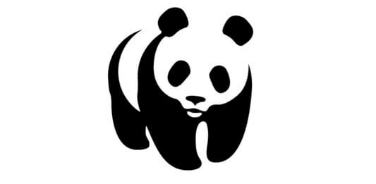 Communications Volunteer with WWF in Cambodia
