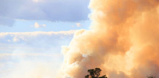 Some Australian Universities Closed Due to Bushfire