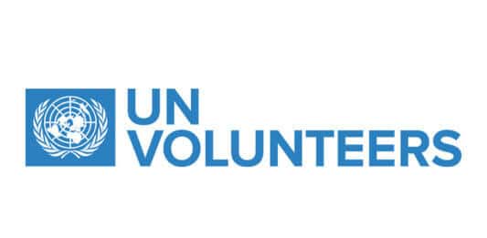 UN Youth Envoy’s Fellowship Program