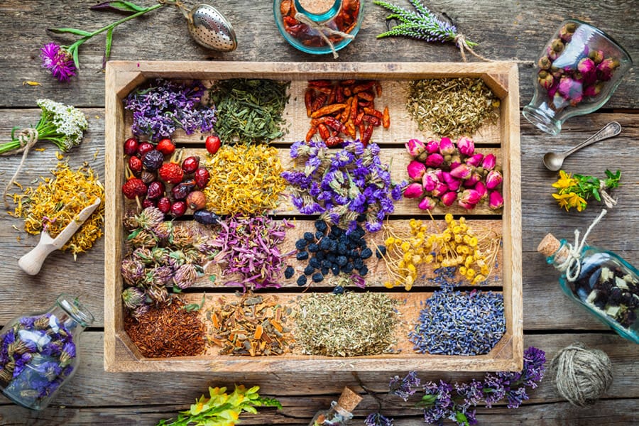 Herbal Medicine concept