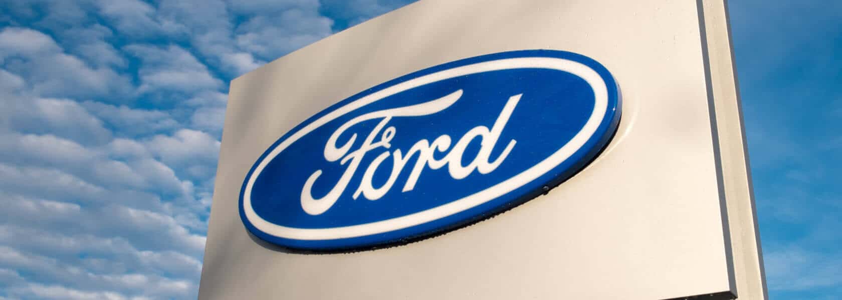 The Ford Fund Fellowship For Community Leaders